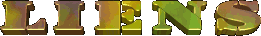 Logo Liens